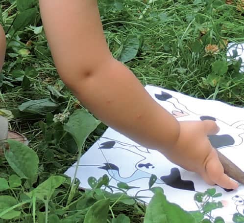 Illustration de l'événement : Visite sensorielle de la réserve
