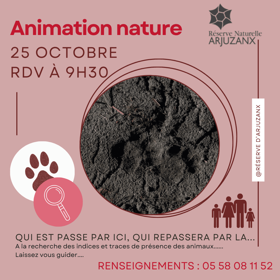 Illustration de l'événement : Il est passé par ici, Il repassera par là...