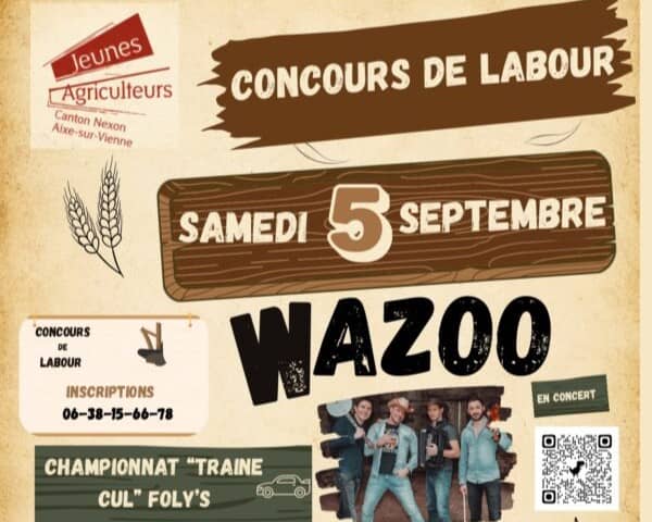 Illustration de l'événement : Concours cantonal de labour