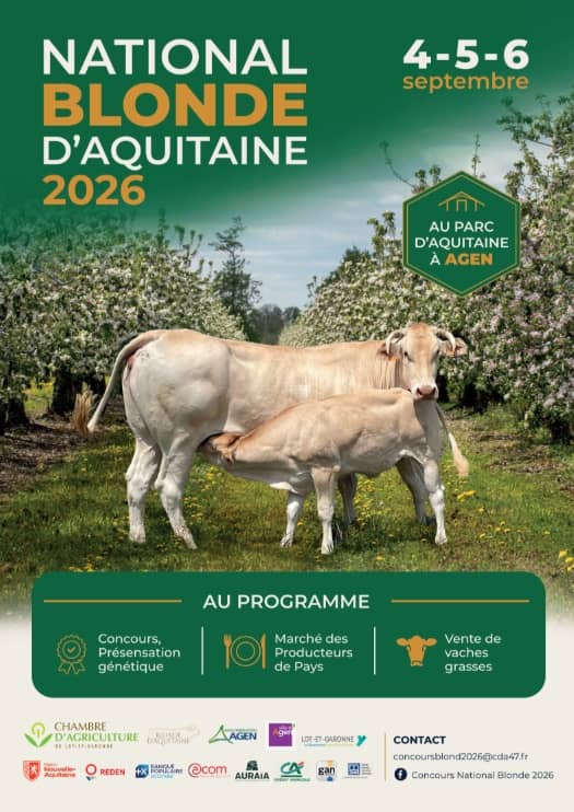 Illustration de l'événement : Concours national blonde d'aquitaine