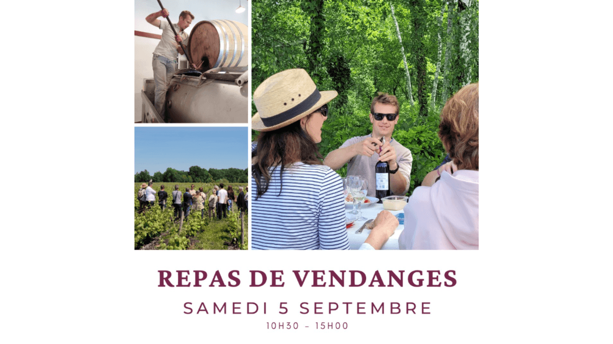 Illustration de l'événement : Repas de Vendanges