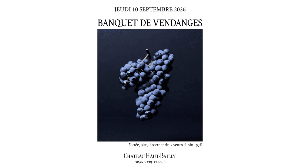Illustration de l'événement : Banquet de vendanges au Château Haut-Bailly
