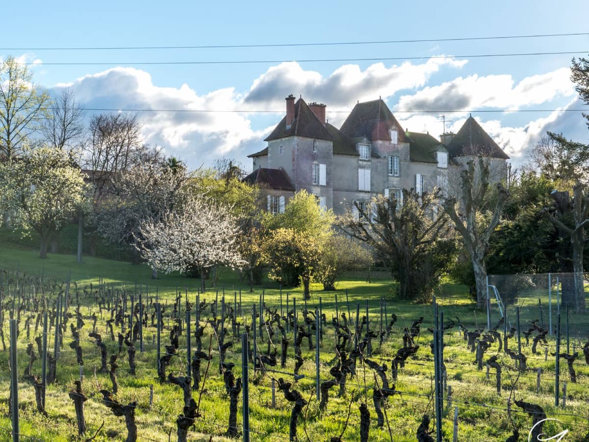 Illustration de l'événement : Le Brunch des Vendanges au château de Chelivette