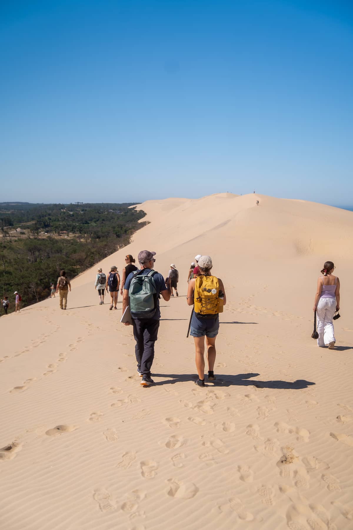 Illustration de l'événement : Randonnée sur la crête de la Dune du Pilat