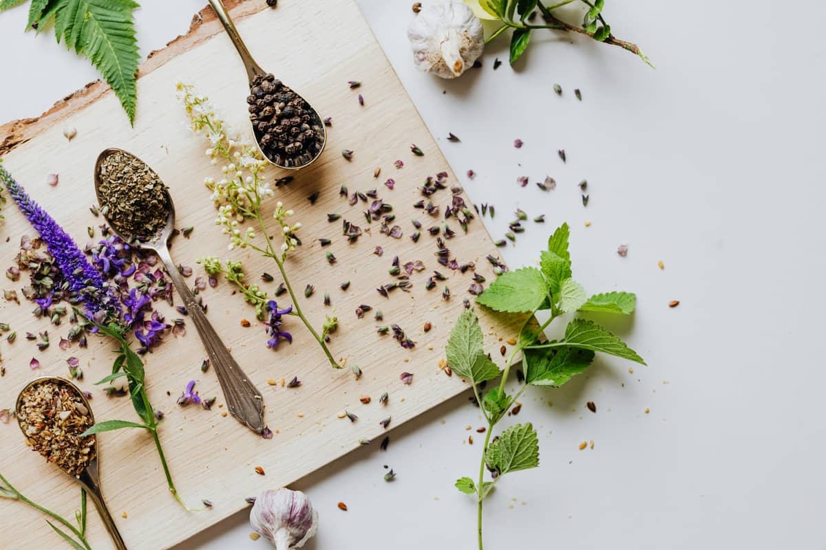 Illustration de l'événement : Cuisine sauvage d'automne