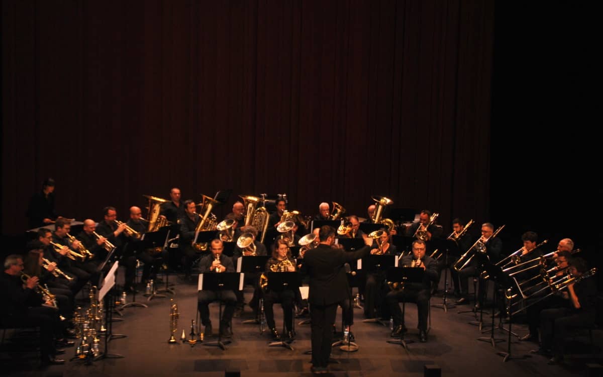 Illustration de l'événement : Concert "Donibaneko Haizeak"