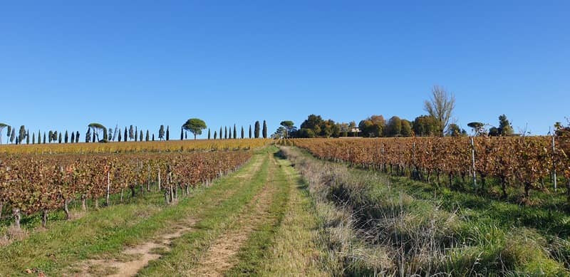 Illustration de l'événement : Malagar autrement - Entre les vignes, Mauriac et Toulouse-Lautrec