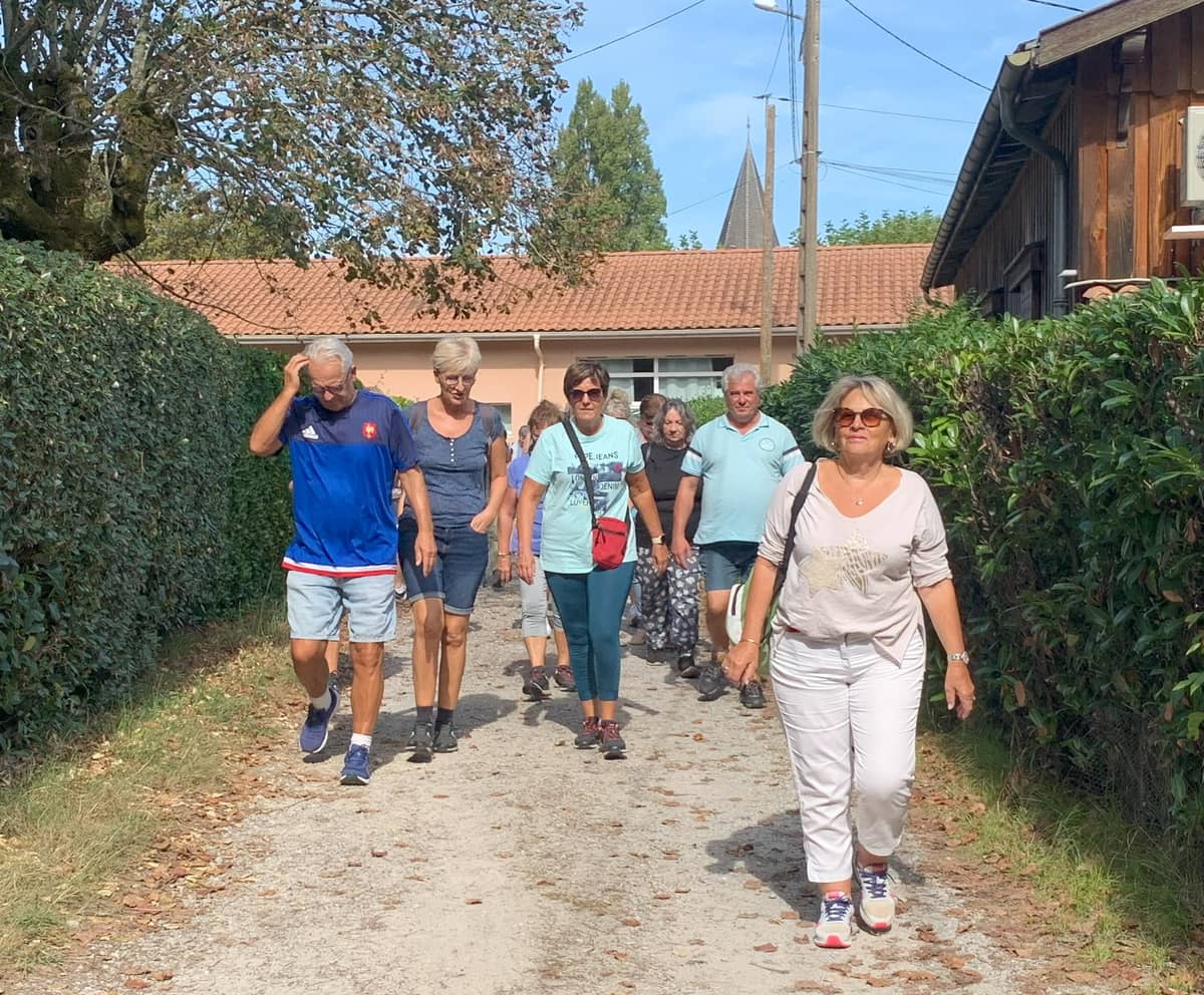 Illustration de l'événement : Découverte Marche Sport Santé