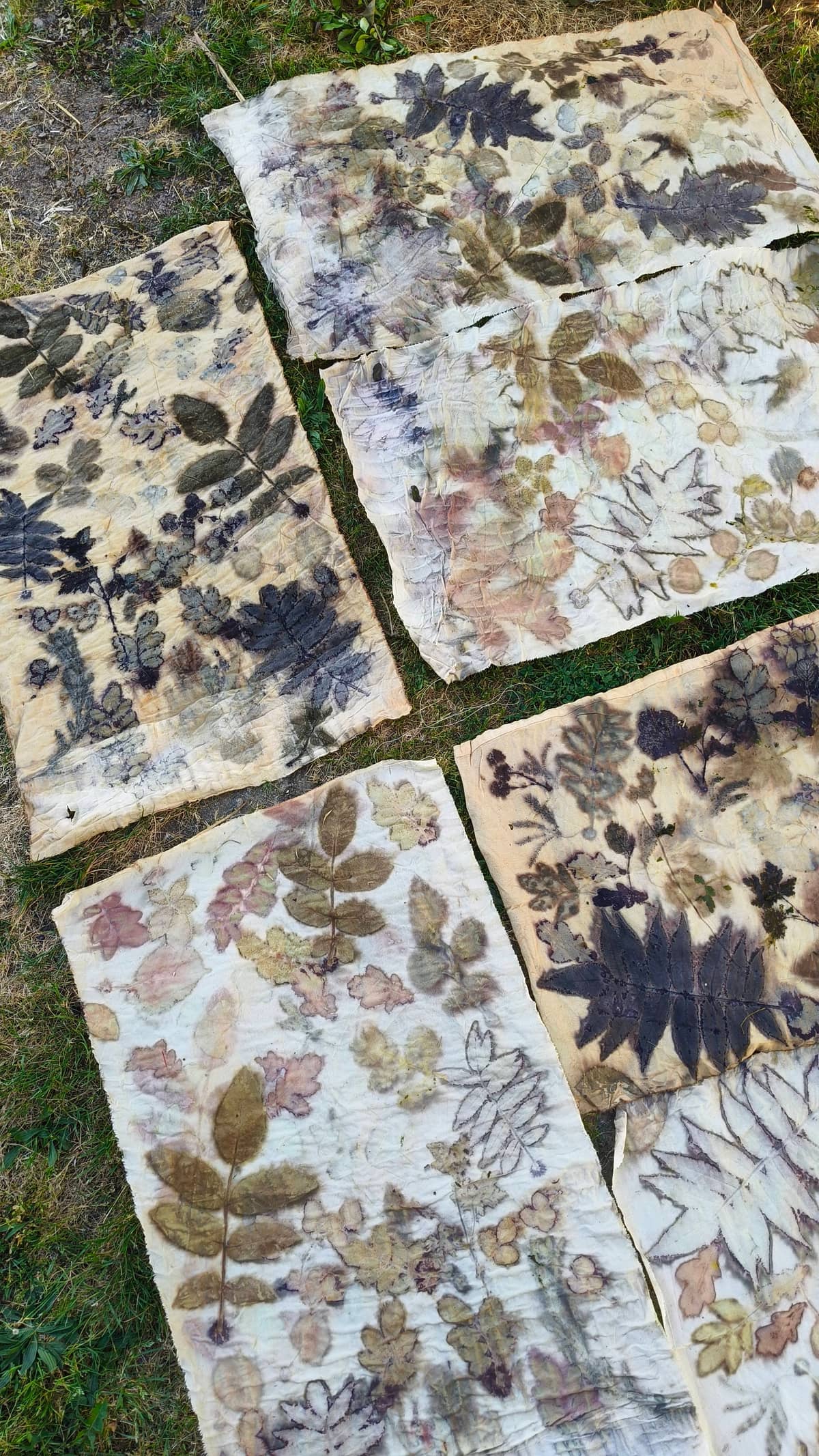 Illustration de l'événement : Stage impression végétale par cuisson vapeur - ECOPRINT