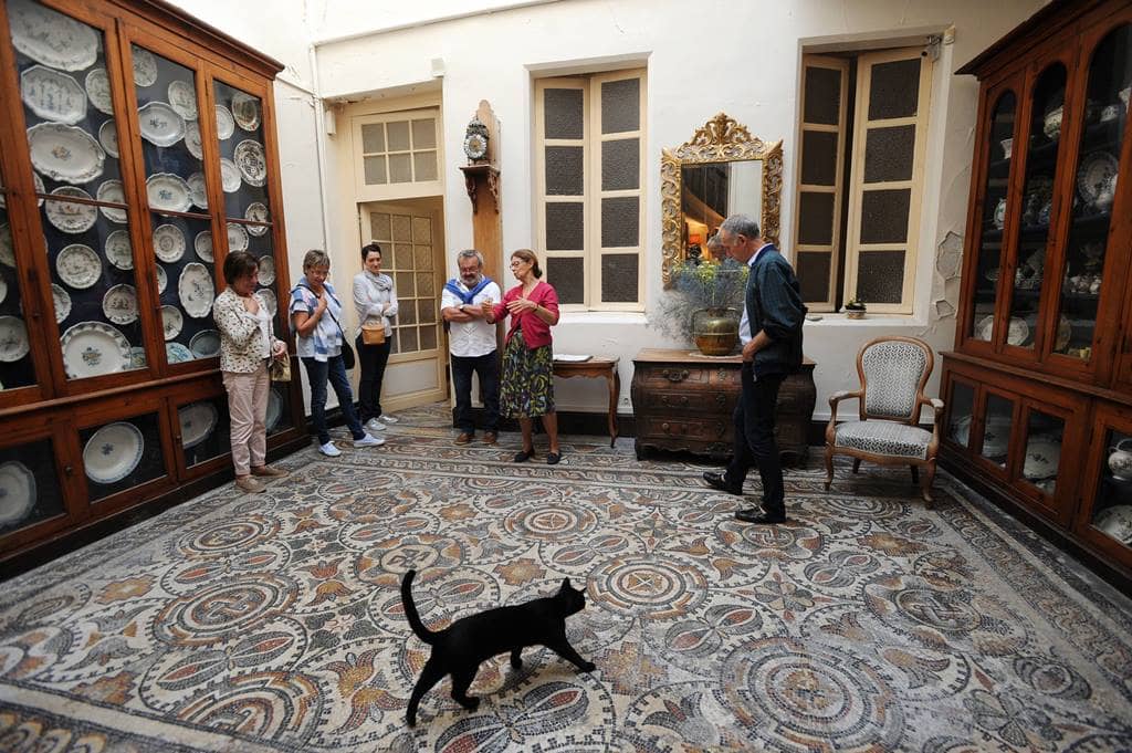 Illustration de l'événement : Visite Flash de la Maison Sentex