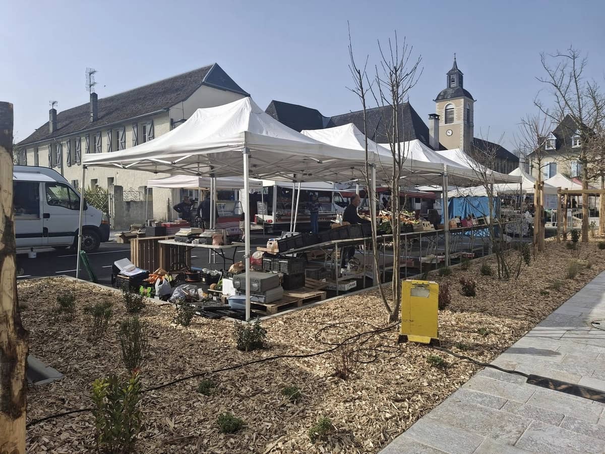 Illustration de l'événement : Marché