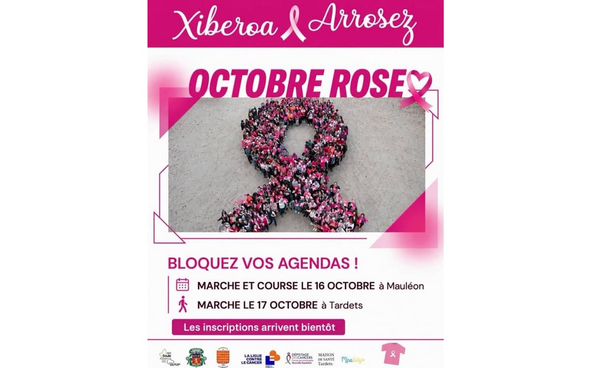 Illustration de l'événement : Octobre rose : marche au profit de la lutte contre le cancer du sein