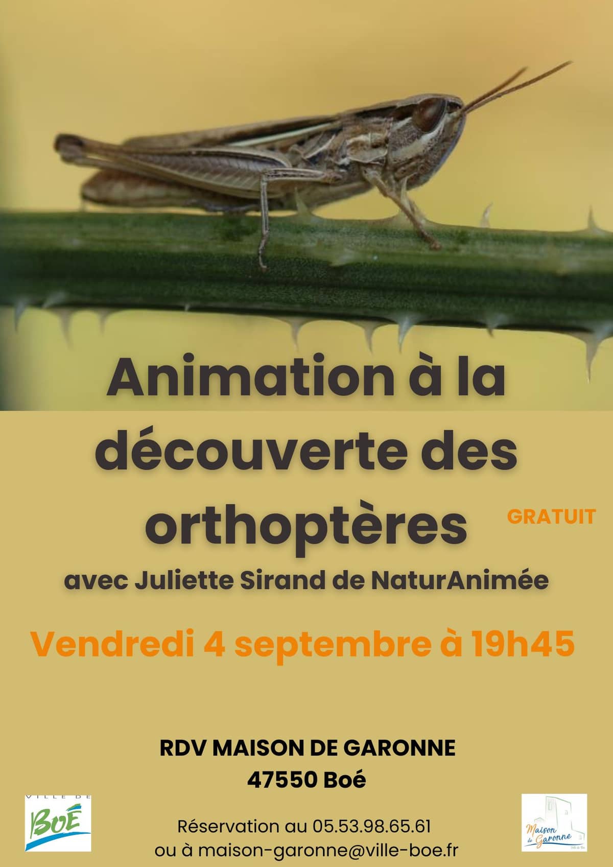 Illustration de l'événement : Maison de Garonne : Animation à la découverte des orthoptères – tout public