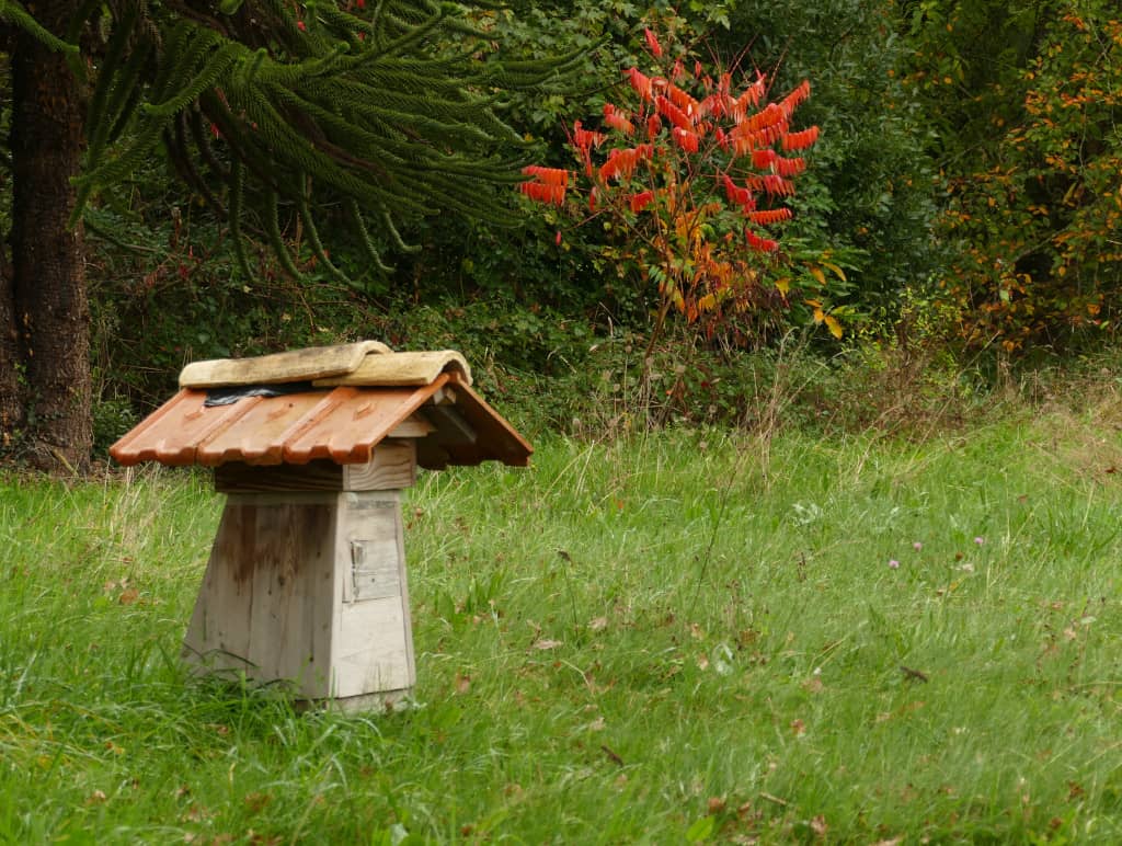 Illustration de l'événement : Animations abeilles