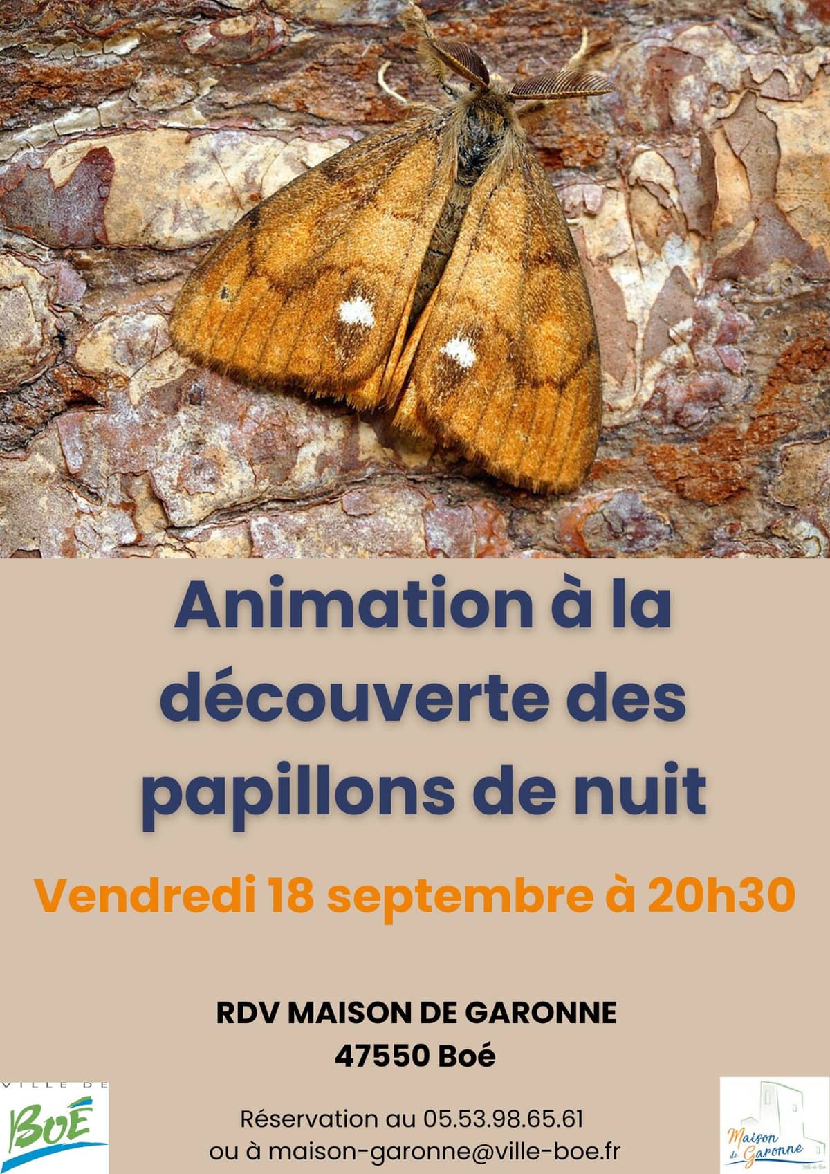Illustration de l'événement : Maison de Garonne : Animation découverte des papillons de nuit – tout public