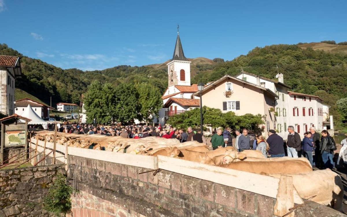 Illustration de l'événement : Portes ouvertes de la Vallée des Aldudes