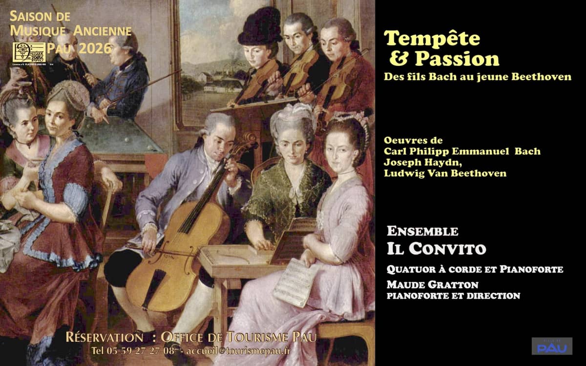 Illustration de l'événement : “Tempête & Passion - Des fils Bach au jeune Beethoven"