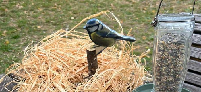 Illustration de l'événement : Animation nature en famille : Coup de pouce aux oiseaux