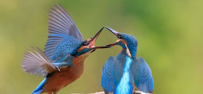 Illustration de l'événement : Journée immersive en famille : La rentrèe nature