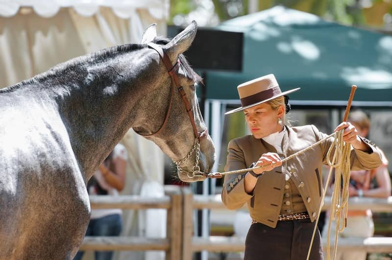 Illustration de l'événement : ANNULE - L'hippodrome de Langon fait son show