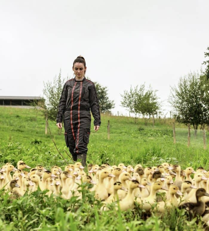 Illustration de l'événement : Portes ouvertes à la découverte des producteurs de Foie gras à Mauries