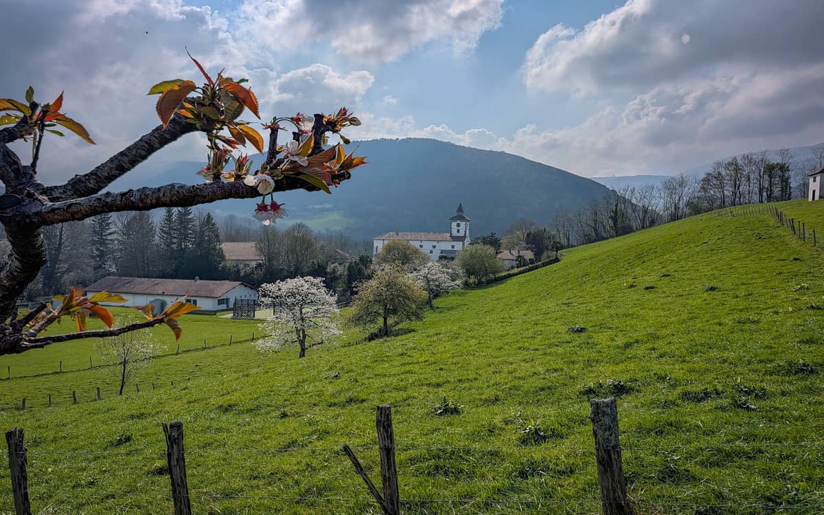 Illustration de l'événement : Randonnée sous les ailes du vautour fauve