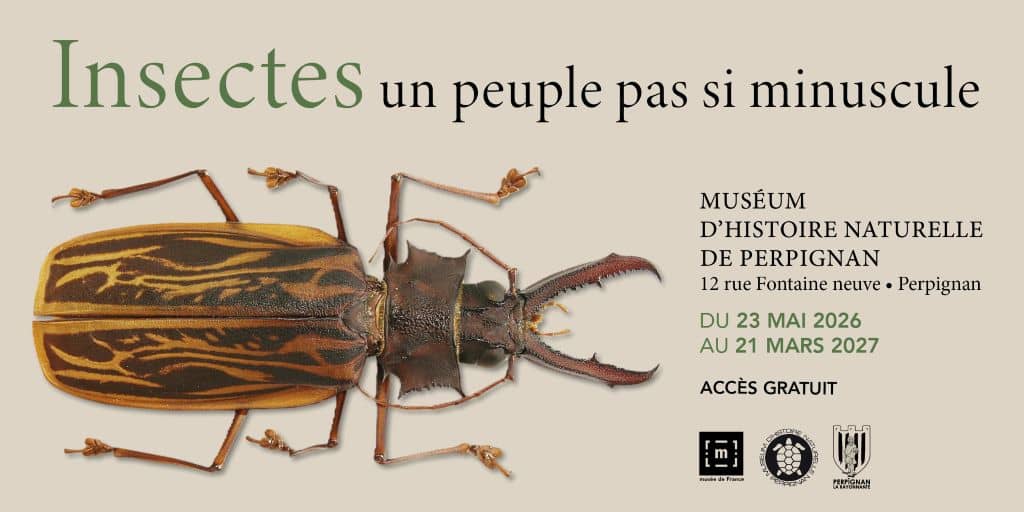 Illustration de l'événement : LES INSECTES, UN PEUPLE PAS SI MINUSCULE