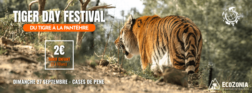 Illustration de l'événement : 5ᵉ ÉDITION DU TIGER DAY FESTIVAL