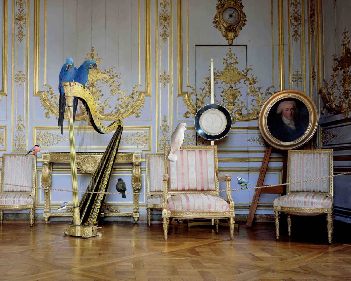 Illustration de l'événement : Karen Knorr habite le château