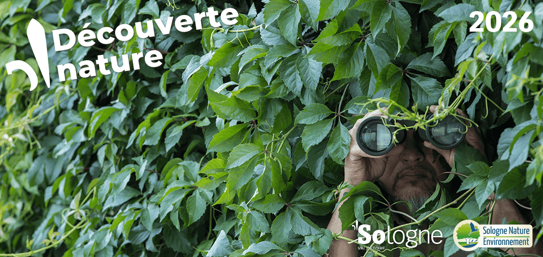 Illustration de l'événement : Découvertes Sologne Nature - Enquête d'affût à Bracieux