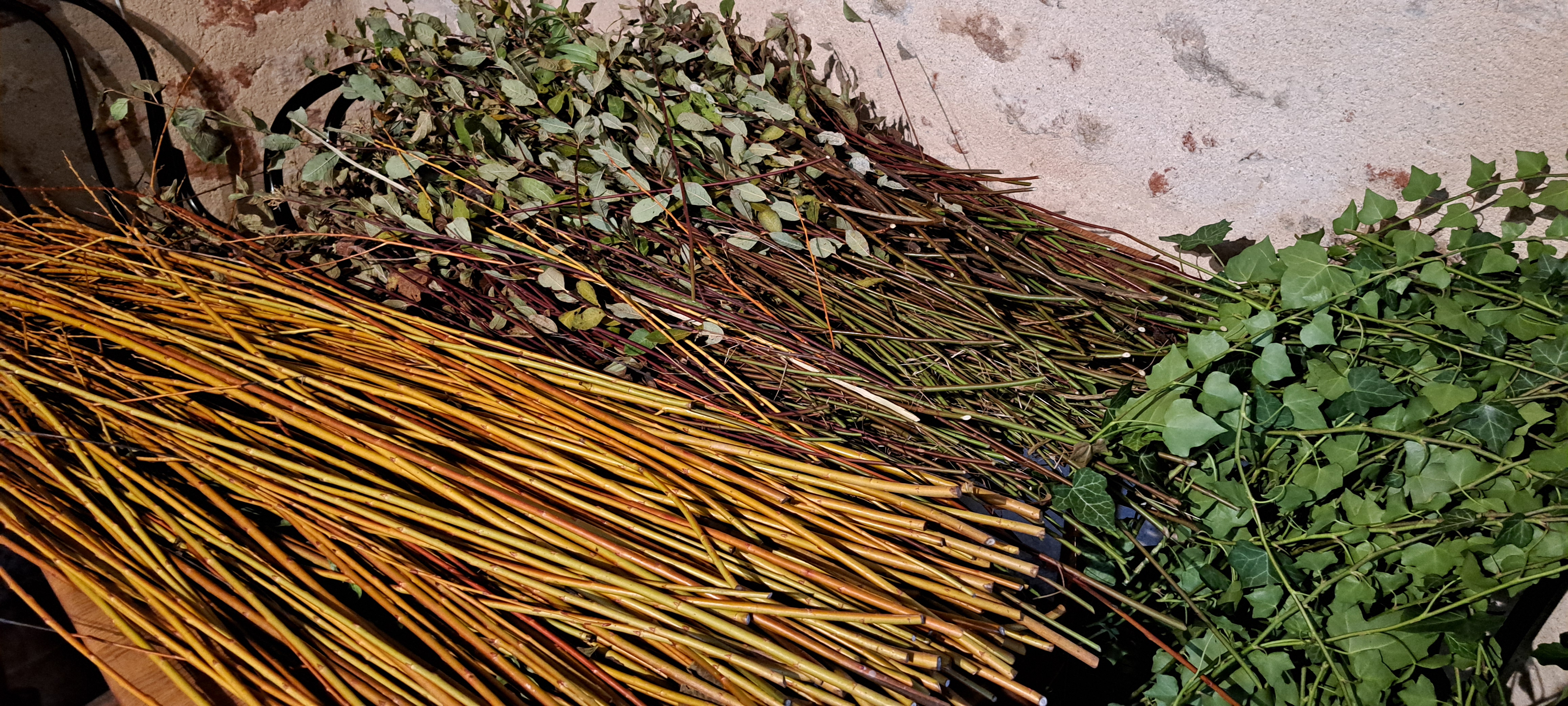 Illustration de l'événement : Atelier tressages sauvages