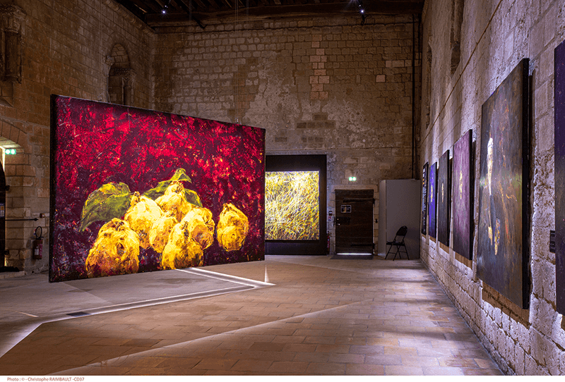 Illustration de l'événement : Exposition Les pas du silence