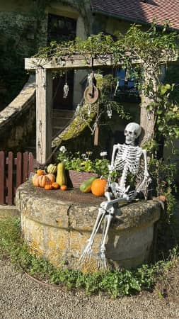 Illustration de l'événement : Halloween au Parc Floral d'Apremont-sur-Allier