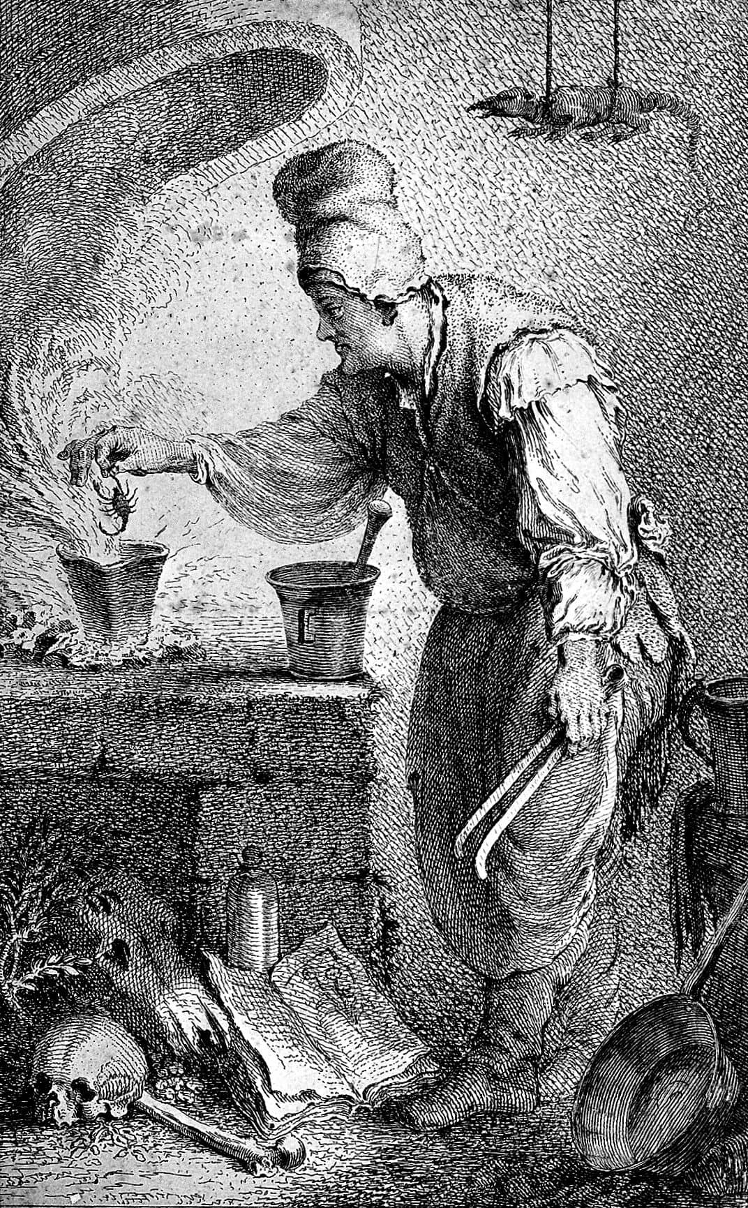 Illustration de l'événement : Sortilèges botaniques : Au royaume des plantes mortelles