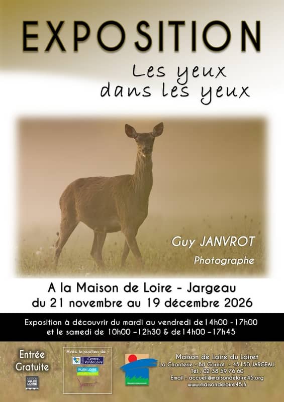 Illustration de l'événement : Exposition de la Maison de Loire : Les yeux dans les yeux