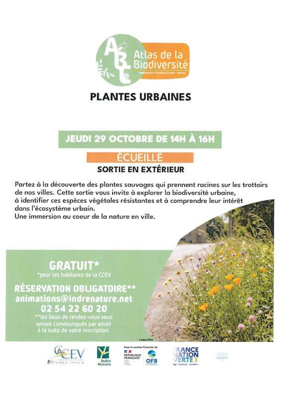 Illustration de l'événement : Sortie nature : plantes urbaines