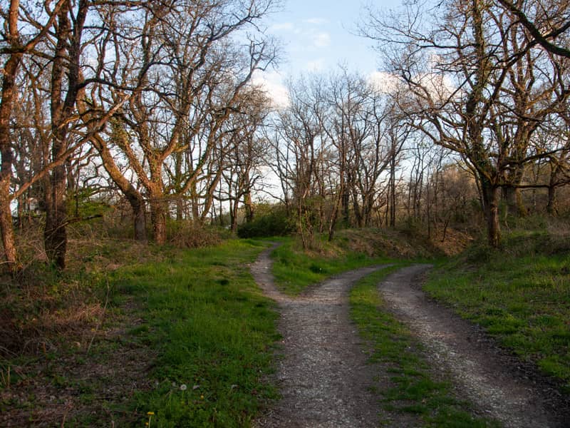 Illustration de l'événement : Chemin d'étang, raconte-nous la Brenne