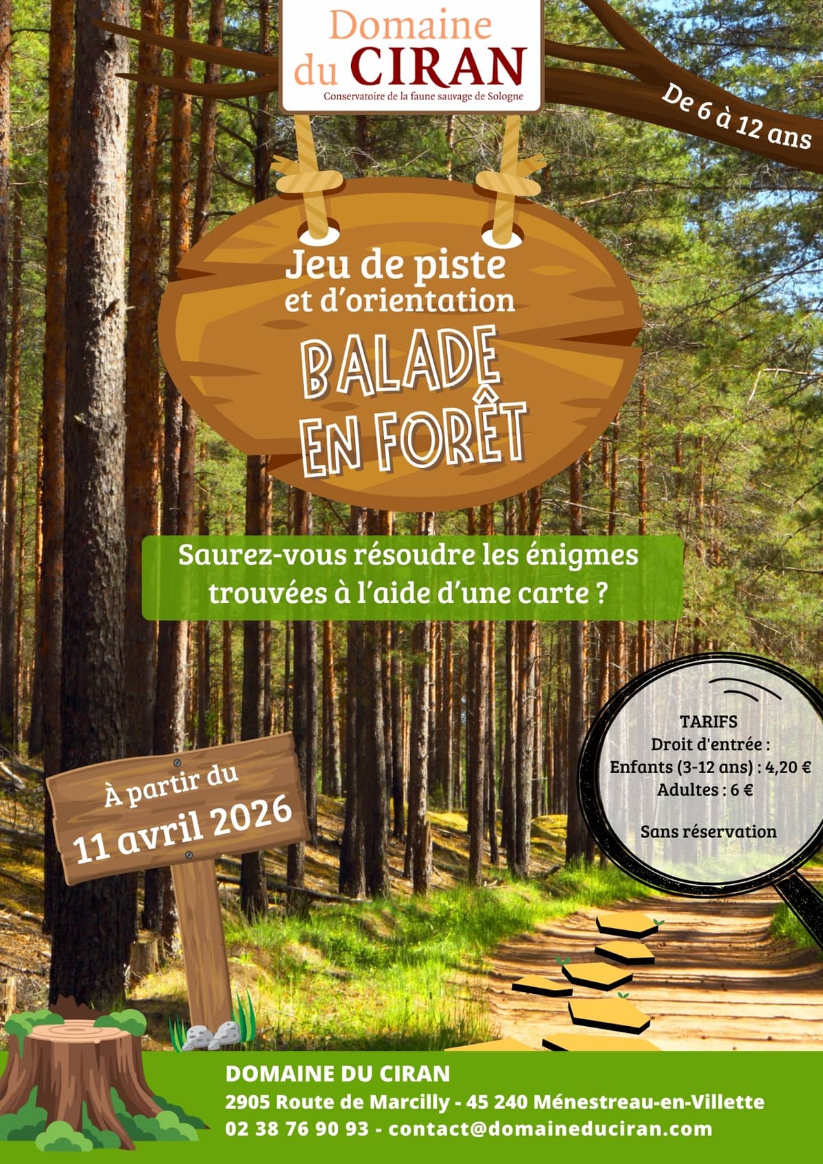Illustration de l'événement : Course d'orientation : balade en forêt
