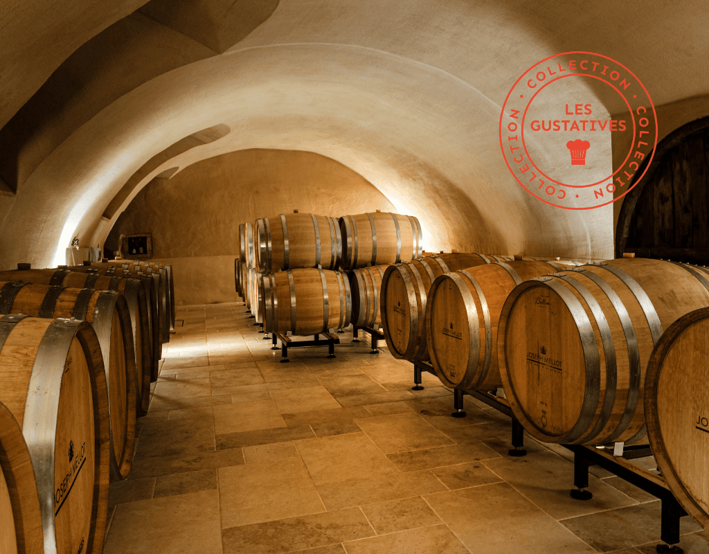Illustration de l'événement : [Vignobles en Scène !] Entre histoire, vin et terroir : l’expérience Joseph Mellot