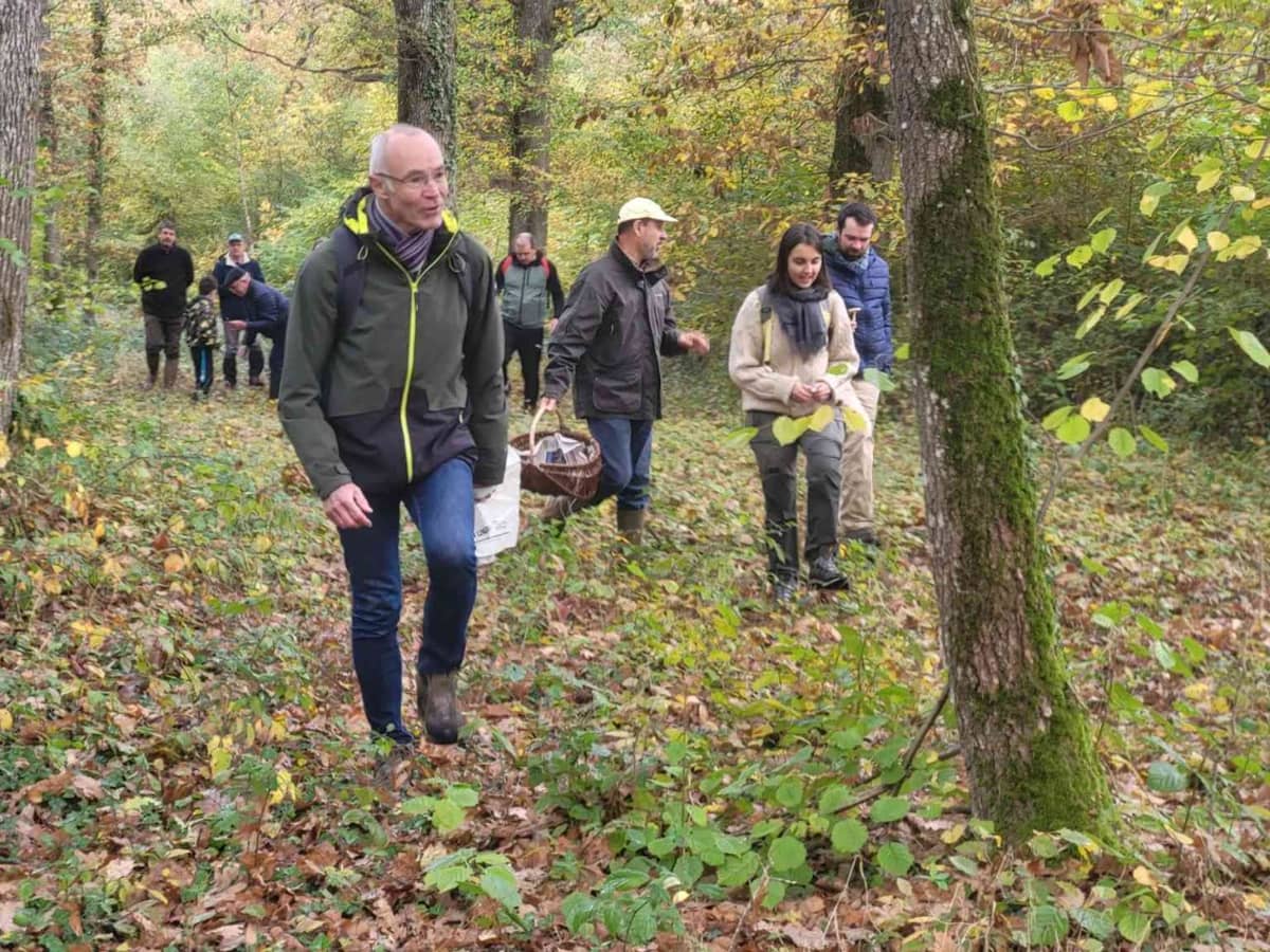 Illustration de l'événement : Champignons en forêt