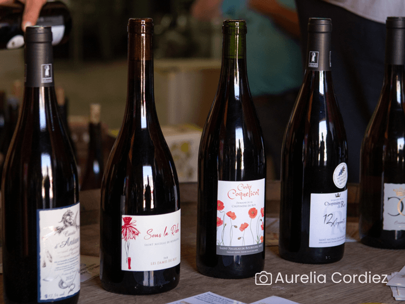 Illustration de l'événement : Visite-dégustation : Visite du domaine aux origines de l'appellation