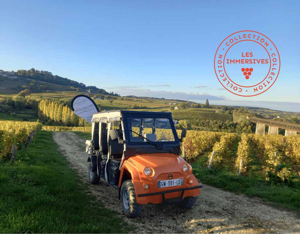 Illustration de l'événement : [Vignobles en Scène !] Eco-circuit des terroirs de Sancerre