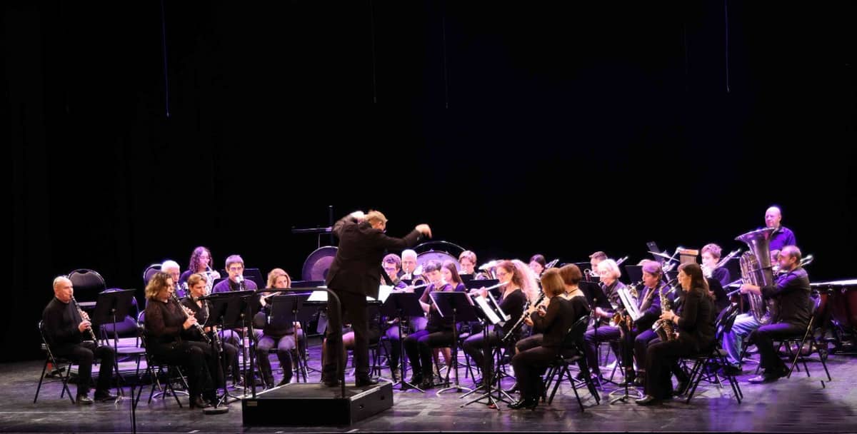Illustration de l'événement : Concert de la Sainte - Cécile - Ensemble de guitares et l'orchestre Pizzicat'