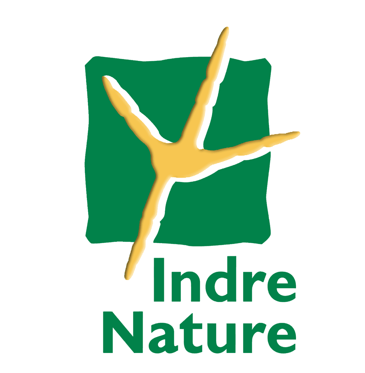 Illustration de l'événement : Sortie nature : les supers pouvoirs des plantes