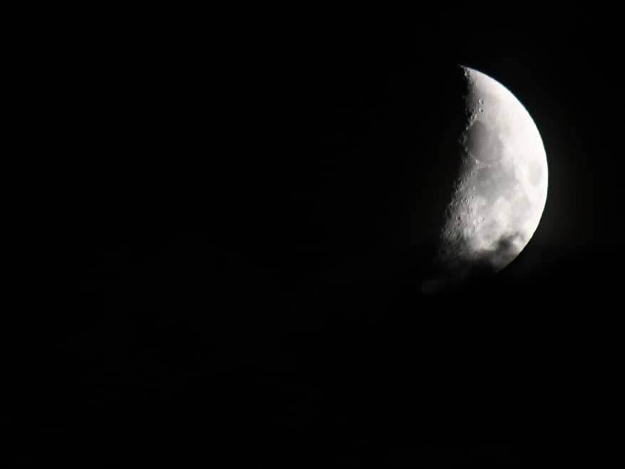 Illustration de l'événement : Un soir de pleine lune sur la prairie de l'étang Massé