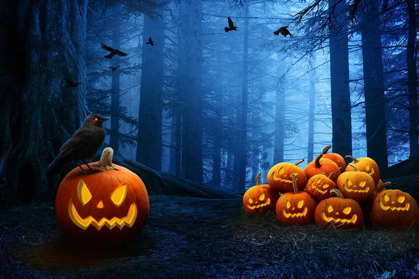 Illustration de l'événement : Halloween à l'Accrobranche - Étang de la Vallée
