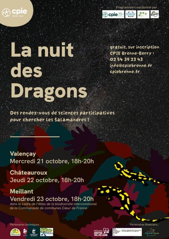 Illustration de l'événement : La nuit des dragons