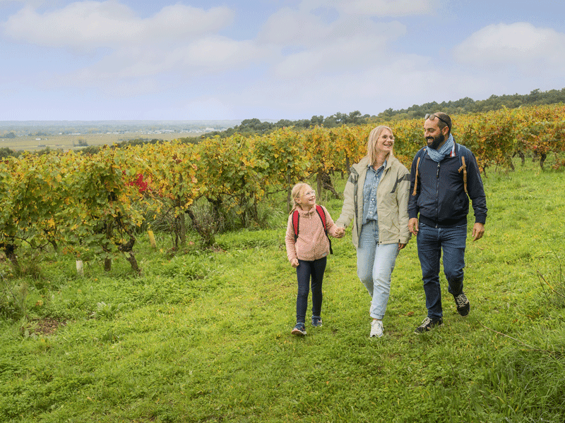 Illustration de l'événement : Les secrets du vignoble - Balade commentée dans les vignes suivi d'une dégustation