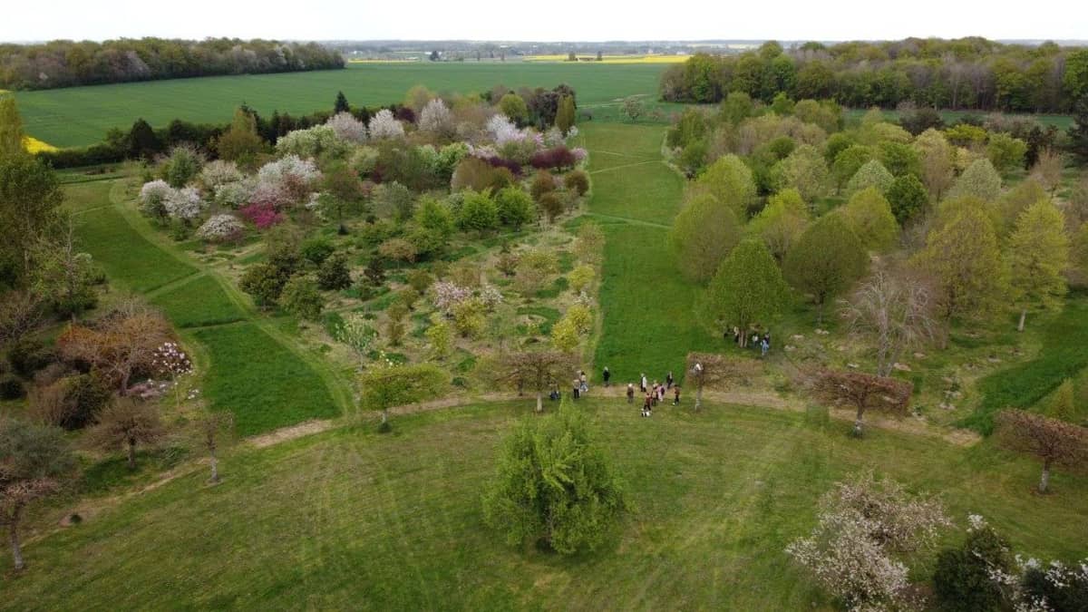 Illustration de l'événement : Stage "Réussir l'aménagement paysager autour de sa maison, dans le contexte climatique actuel" à l'Arboretum de la Petite Loiterie à Monthodon - Le Sentier