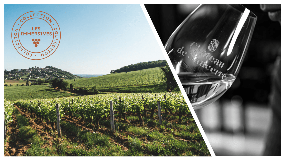 Illustration de l'événement : [Vignobles en Scène !] Dégustation œno-olfactive avec Vins & Parfums x V.U.E. sur vignes
